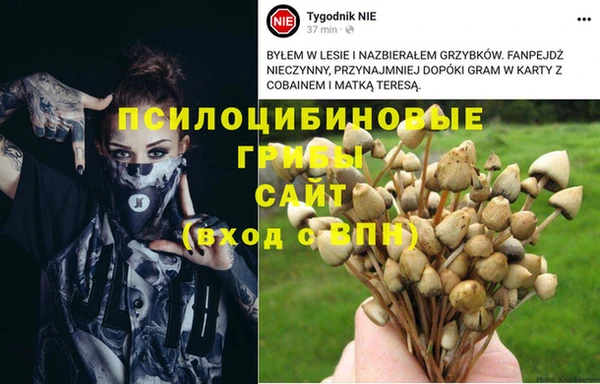 МДМА Пролетарск