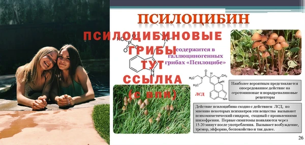 прущая мука Россошь