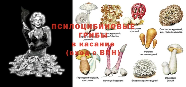 прущая мука Дедовск