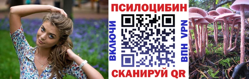 Псилоцибиновые грибы мицелий  цены   Туринск 